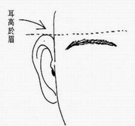 福耳面相|五种特别有福气的耳朵面相(图)